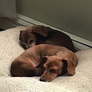 Meet your Posher, Theresa